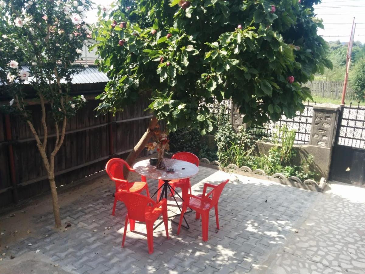 Cazare Adela Horezu Exterior foto